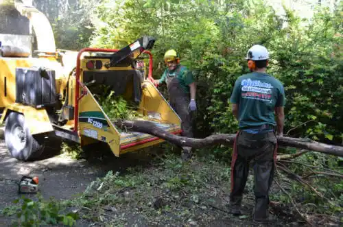 tree services Castle Hill